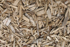 biomass boilers Rhyl
