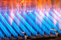 Rhyl gas fired boilers